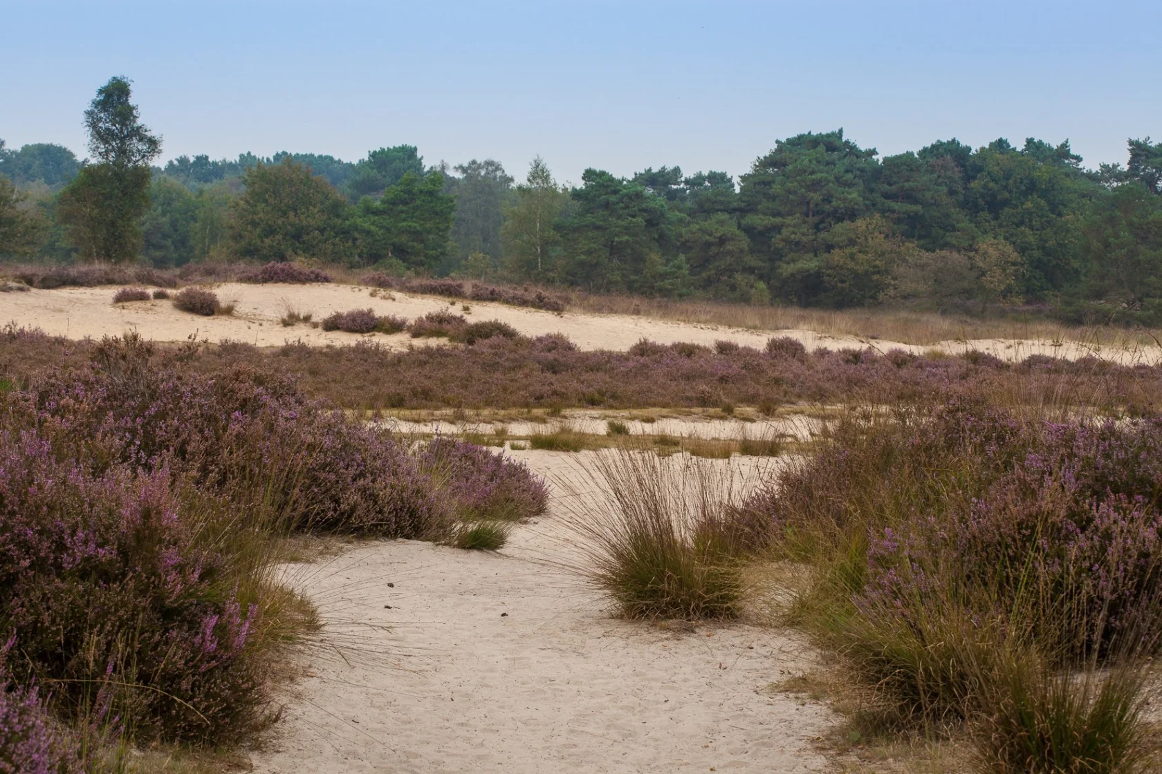 Beukenhof-woonzorgcentrum-Kalmthout-Vulpia